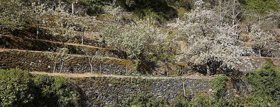 Descubre el municipio de Valero: naturaleza, tradición y apicultura en el corazón de la Sierra de Francia - Javier Prieto